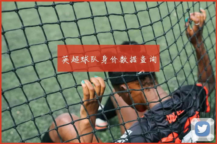 英超球队身价数据查询