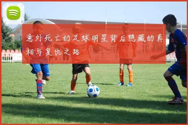 意外死亡的足球明星背后隐藏的真相与复仇之路