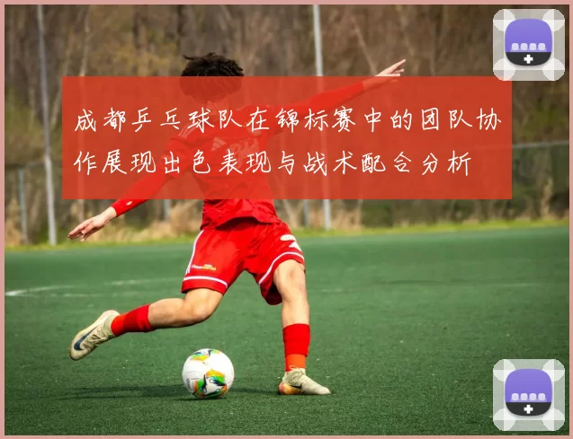 成都乒乓球队在锦标赛中的团队协作展现出色表现与战术配合分析