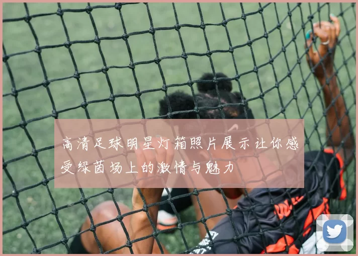 高清足球明星灯箱照片展示让你感受绿茵场上的激情与魅力