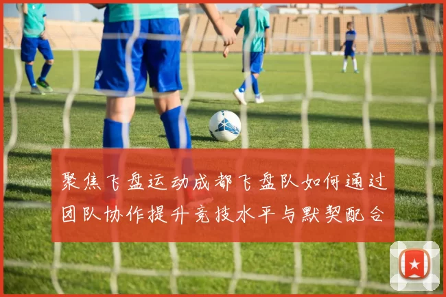 聚焦飞盘运动成都飞盘队如何通过团队协作提升竞技水平与默契配合