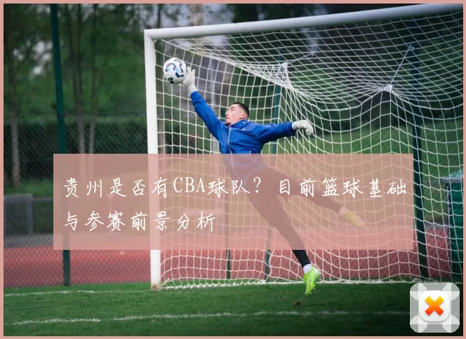 贵州是否有CBA球队？目前篮球基础与参赛前景分析