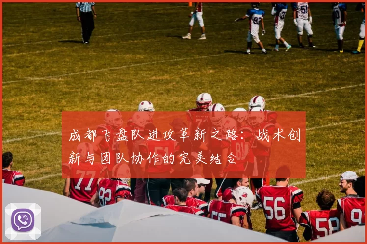 成都飞盘队进攻革新之路：战术创新与团队协作的完美结合