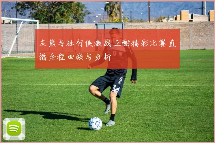 灰熊与独行侠激战正酣精彩比赛直播全程回顾与分析