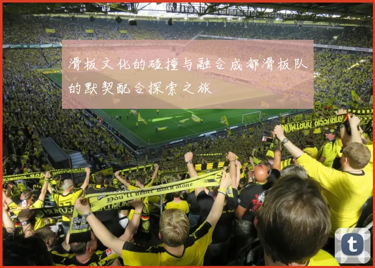 滑板文化的碰撞与融合成都滑板队的默契配合探索之旅