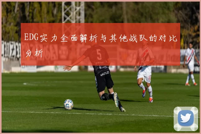 EDG实力全面解析与其他战队的对比分析