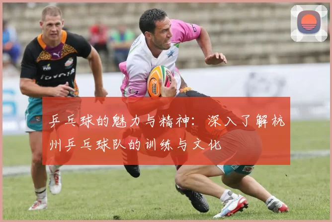 乒乓球的魅力与精神：深入了解杭州乒乓球队的训练与文化