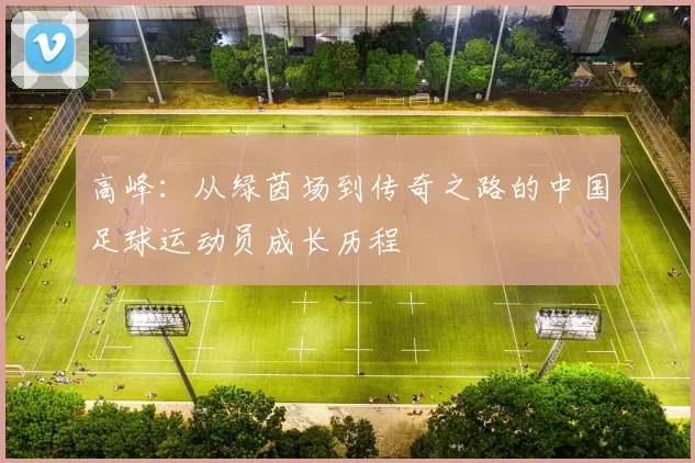 高峰：从绿茵场到传奇之路的中国足球运动员成长历程