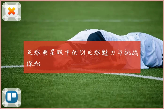 足球明星眼中的羽毛球魅力与挑战探秘