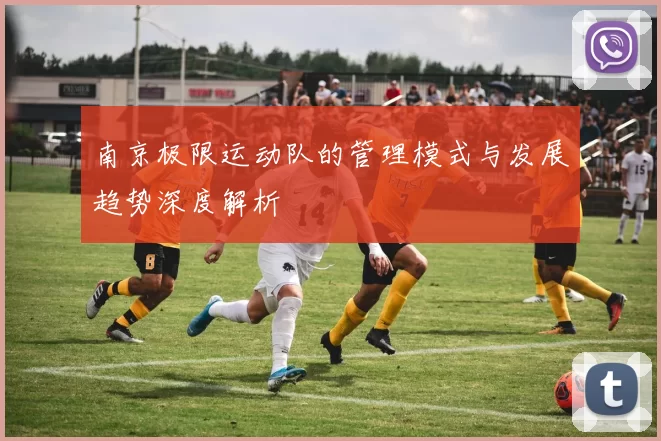 南京极限运动队的管理模式与发展趋势深度解析