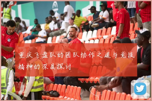 重庆飞盘队的团队协作之道与竞技精神的深度探讨