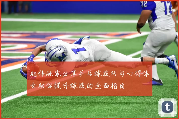 赵伟独家分享乒乓球技巧与心得体会助你提升球技的全面指南