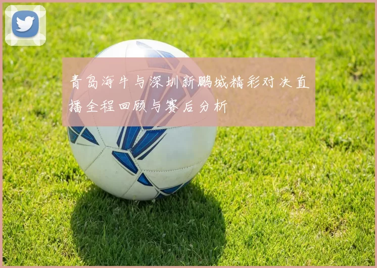 青岛海牛与深圳新鹏城精彩对决直播全程回顾与赛后分析